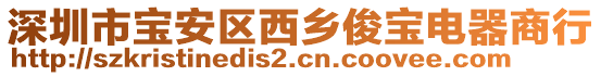 深圳市寶安區(qū)西鄉(xiāng)俊寶電器商行