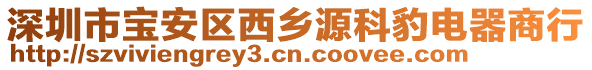 深圳市寶安區(qū)西鄉(xiāng)源科豹電器商行