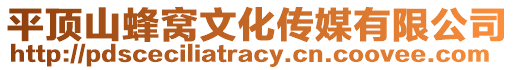 平頂山蜂窩文化傳媒有限公司