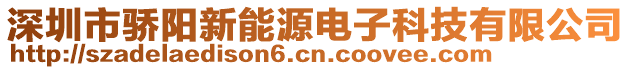 深圳市驕陽新能源電子科技有限公司