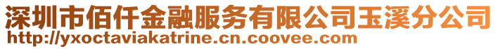 深圳市佰仟金融服務(wù)有限公司玉溪分公司