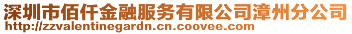 深圳市佰仟金融服務(wù)有限公司漳州分公司