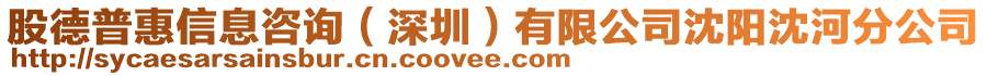 股德普惠信息咨詢（深圳）有限公司沈陽(yáng)沈河分公司