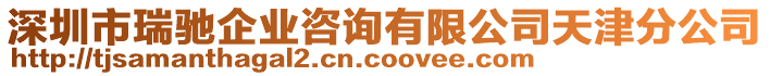 深圳市瑞馳企業(yè)咨詢有限公司天津分公司