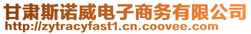 甘肅斯諾威電子商務(wù)有限公司