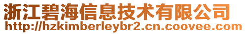 浙江碧海信息技術有限公司