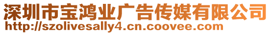 深圳市寶鴻業廣告傳媒有限公司