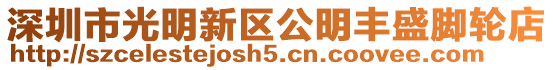 深圳市光明新區(qū)公明豐盛腳輪店