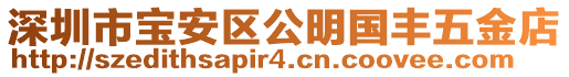 深圳市寶安區公明國豐五金店