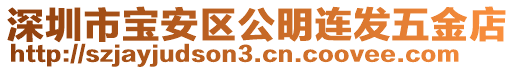 深圳市寶安區(qū)公明連發(fā)五金店