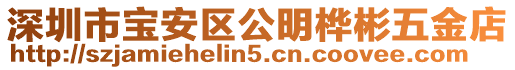 深圳市寶安區(qū)公明樺彬五金店