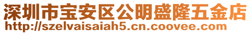 深圳市寶安區公明盛隆五金店