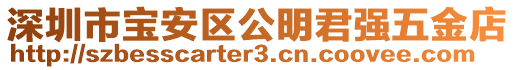 深圳市寶安區公明君強五金店