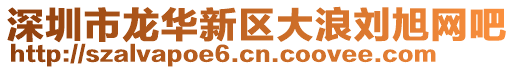 深圳市龍華新區大浪劉旭網吧