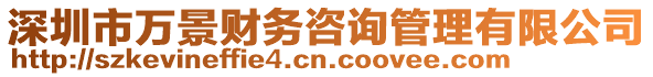 深圳市萬景財務咨詢管理有限公司