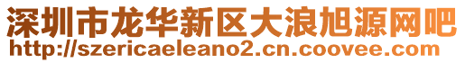深圳市龍華新區大浪旭源網吧
