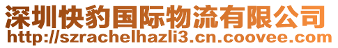 深圳快豹國際物流有限公司