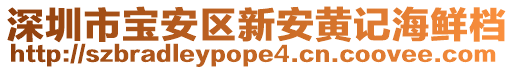 深圳市寶安區新安黃記海鮮檔