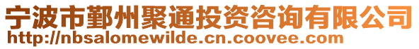 寧波市鄞州聚通投資咨詢有限公司