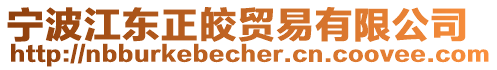 寧波江東正皎貿(mào)易有限公司