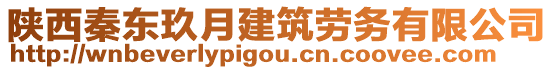 陜西秦東玖月建筑勞務有限公司
