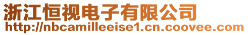 浙江恒視電子有限公司