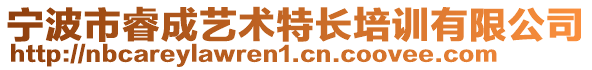 寧波市睿成藝術特長培訓有限公司