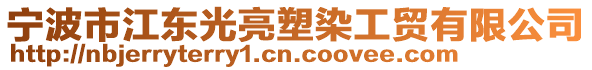 寧波市江東光亮塑染工貿(mào)有限公司