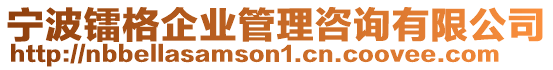 寧波鐳格企業(yè)管理咨詢有限公司