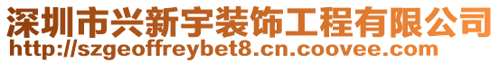 深圳市興新宇裝飾工程有限公司