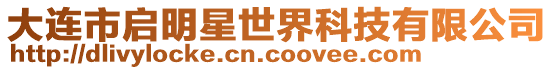 大連市啟明星世界科技有限公司