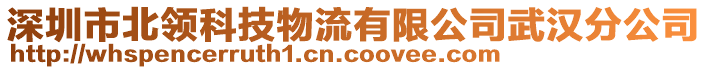 深圳市北領(lǐng)科技物流有限公司武漢分公司