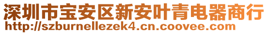 深圳市寶安區(qū)新安葉青電器商行