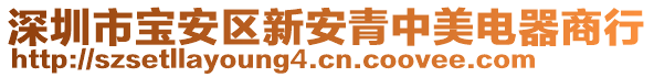 深圳市寶安區(qū)新安青中美電器商行