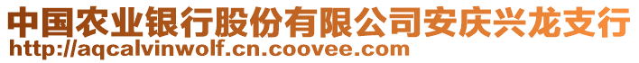 中國(guó)農(nóng)業(yè)銀行股份有限公司安慶興龍支行