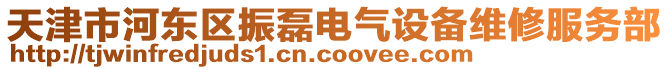 天津市河東區振磊電氣設備維修服務部