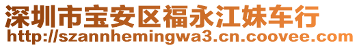 深圳市寶安區(qū)福永江妹車行