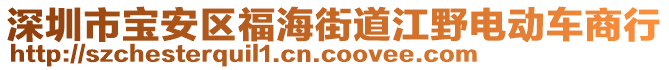 深圳市寶安區(qū)福海街道江野電動(dòng)車商行