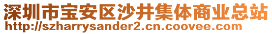 深圳市寶安區(qū)沙井集體商業(yè)總站