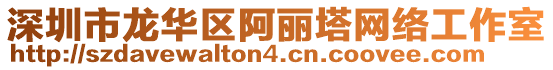 深圳市龍華區阿麗塔網絡工作室