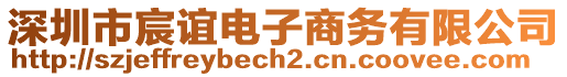 深圳市宸誼電子商務(wù)有限公司