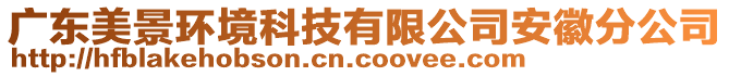 廣東美景環(huán)境科技有限公司安徽分公司