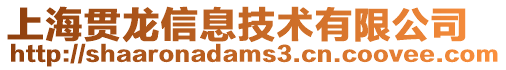 上海貫龍信息技術有限公司