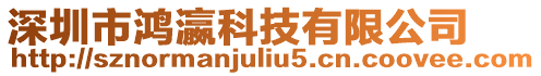 深圳市鴻瀛科技有限公司