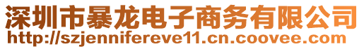 深圳市暴龍電子商務(wù)有限公司