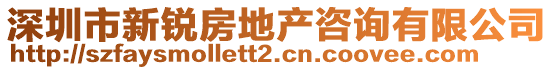 深圳市新銳房地產咨詢有限公司