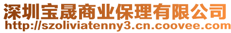 深圳寶晟商業保理有限公司