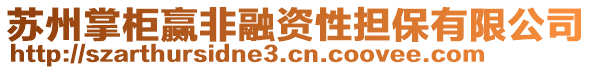 蘇州掌柜贏非融資性擔(dān)保有限公司