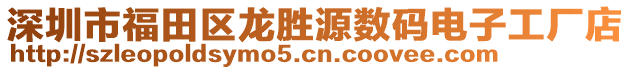 深圳市福田區(qū)龍勝源數(shù)碼電子工廠店