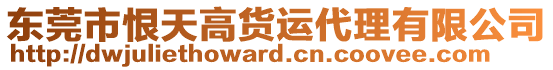 東莞市恨天高貨運(yùn)代理有限公司